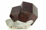 Impressive Almandine Garnets in Schist - Italy #352077-2